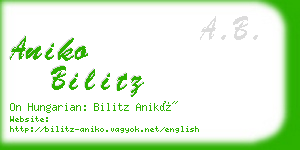 aniko bilitz business card